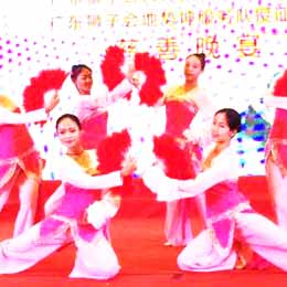 �����ݳ����o��˾