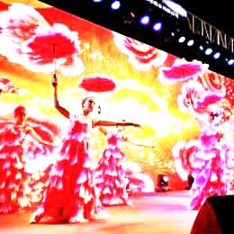 ������ˇ���o��˾