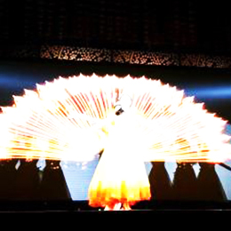 ҕ�l��������ˇ���o��˾