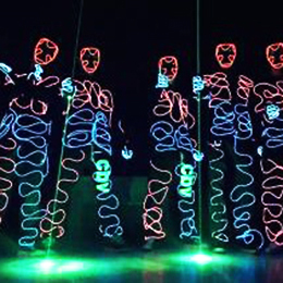 ��ɫ��Ŀ���o��˾