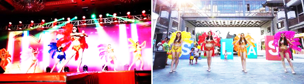 �V�ݸ�����ˇ���o��˾