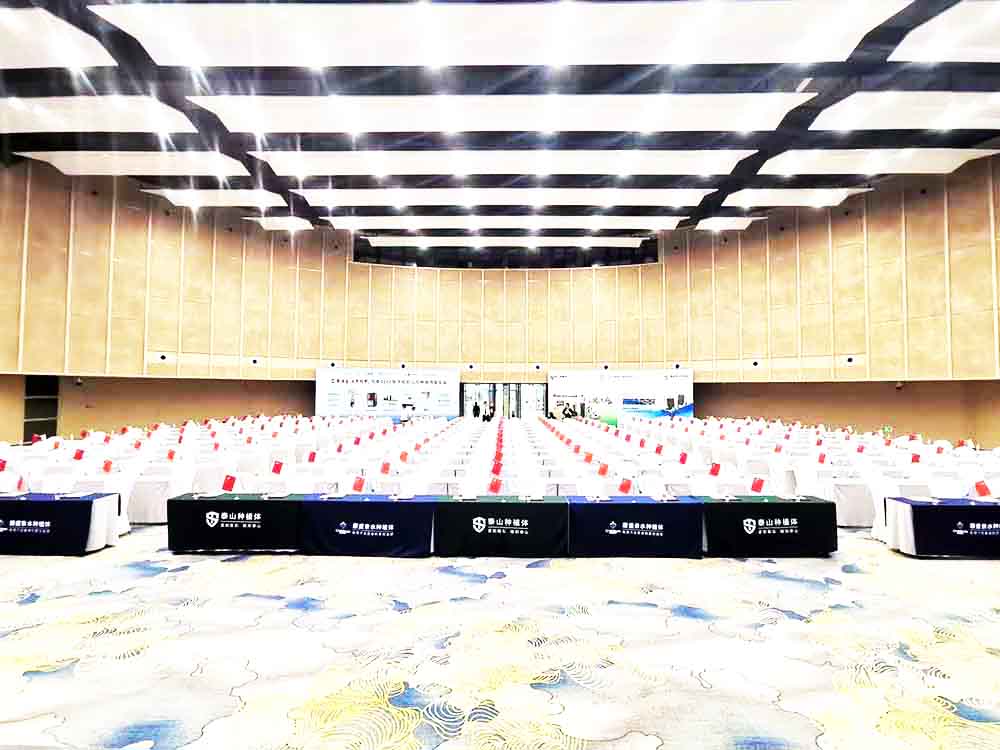 海南年會活動演出公司提供的恒泰口腔種植博鰲年會坐席區(qū)